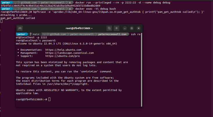 Snooping on libpam (openssh auth, passwd) with Golang and eBPF